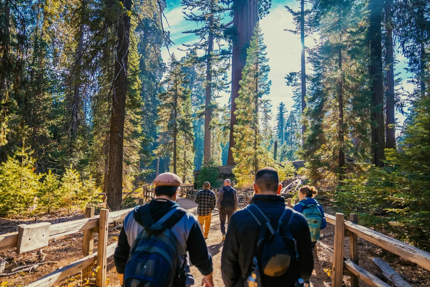 无痕山林：让户外旅行更绿色