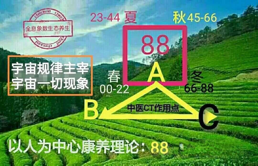 取象类比：中医学独特的诊疗思维