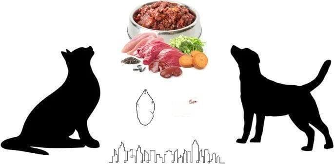 猫生骨肉喂养是科学之选还是潜在挑战？