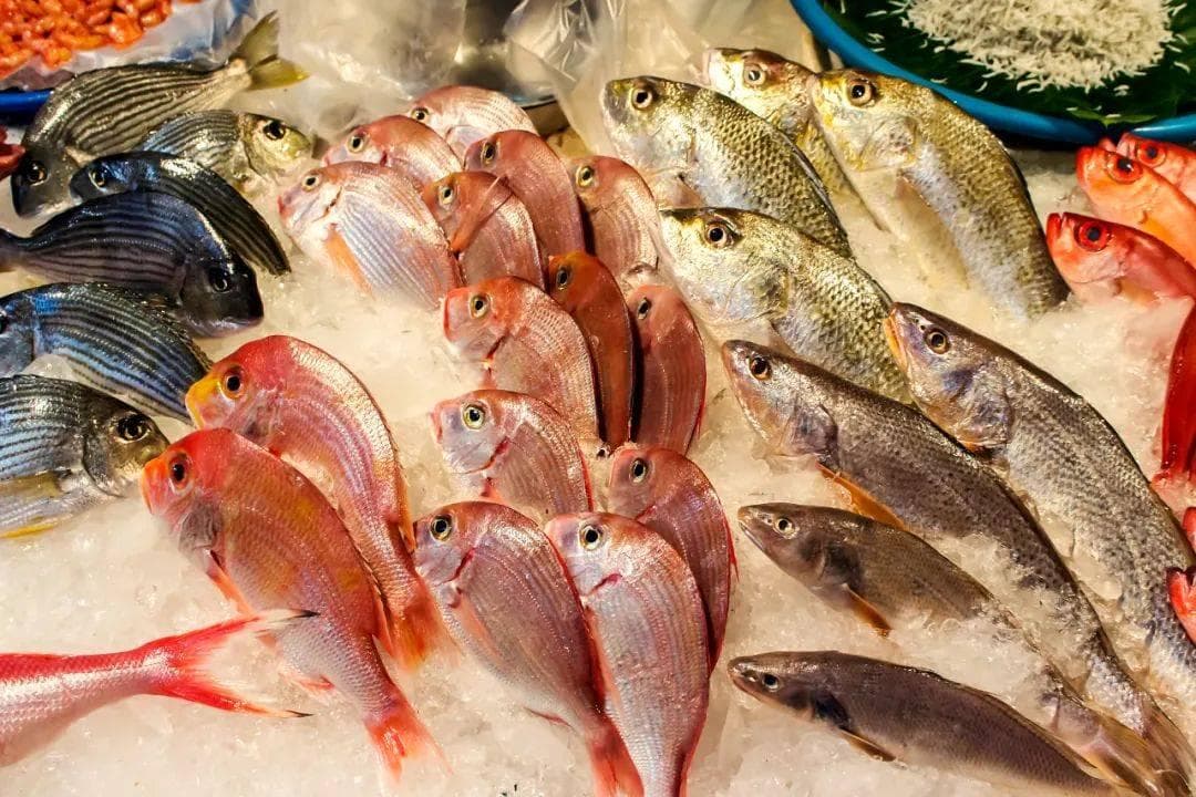 生食海鱼，到底会不会感染寄生虫？