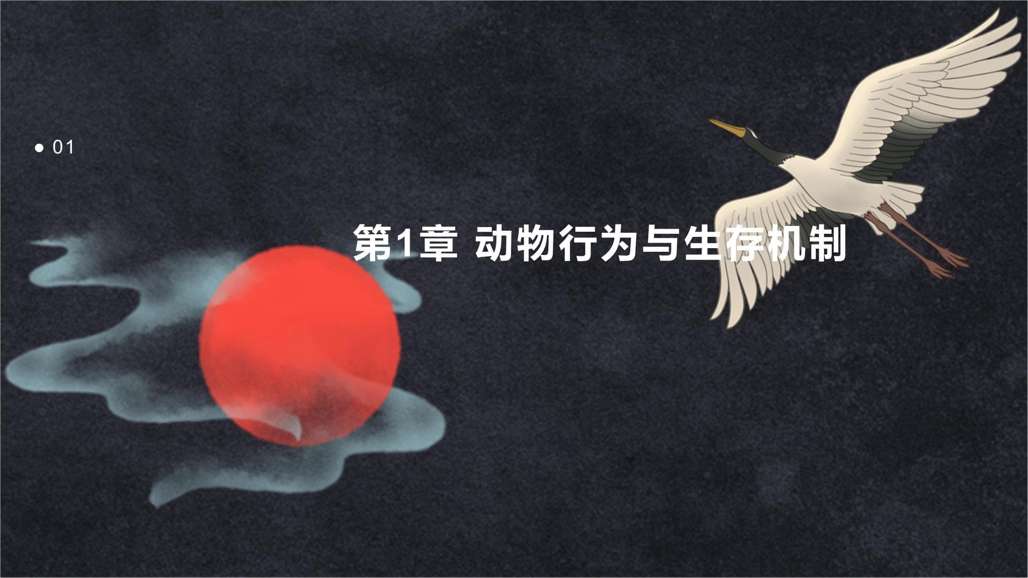 动物行为与生存机制