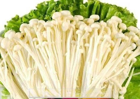 如何清洗金针菇？三种实用清洗方法让你轻松应对