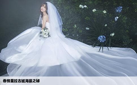 香格里拉古城：3356米海拔下的独特风光与人文魅力
