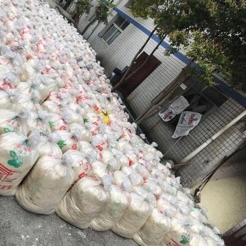发酵豆渣代替部分饲料喂猪，猪爱吃，长得快，养殖成本大大降低