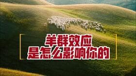 投资中如何避免“羊群效应”？
