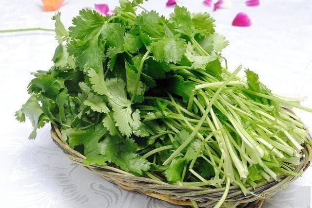 孕早期食用香菜全攻略：4个要点+3种美味食谱
