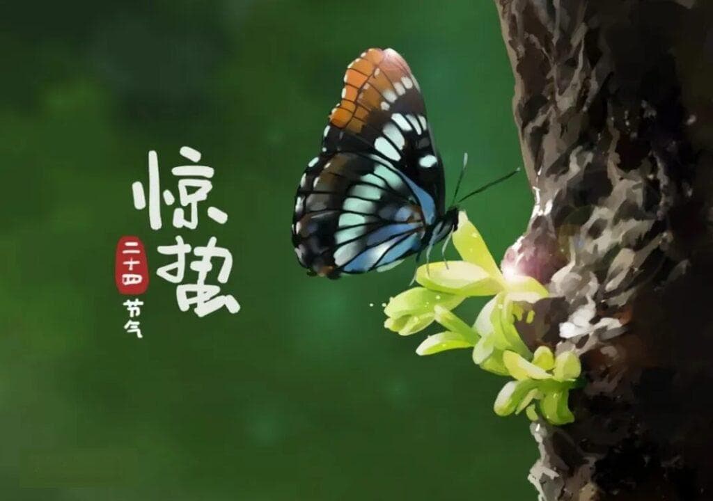 甲辰年惊蛰及第一候