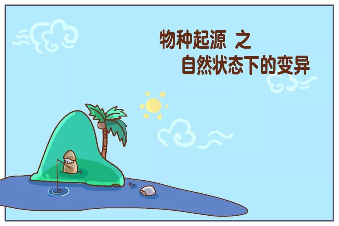 编吉读经典丨达尔文告诉你物种是如何产生“变异”的？