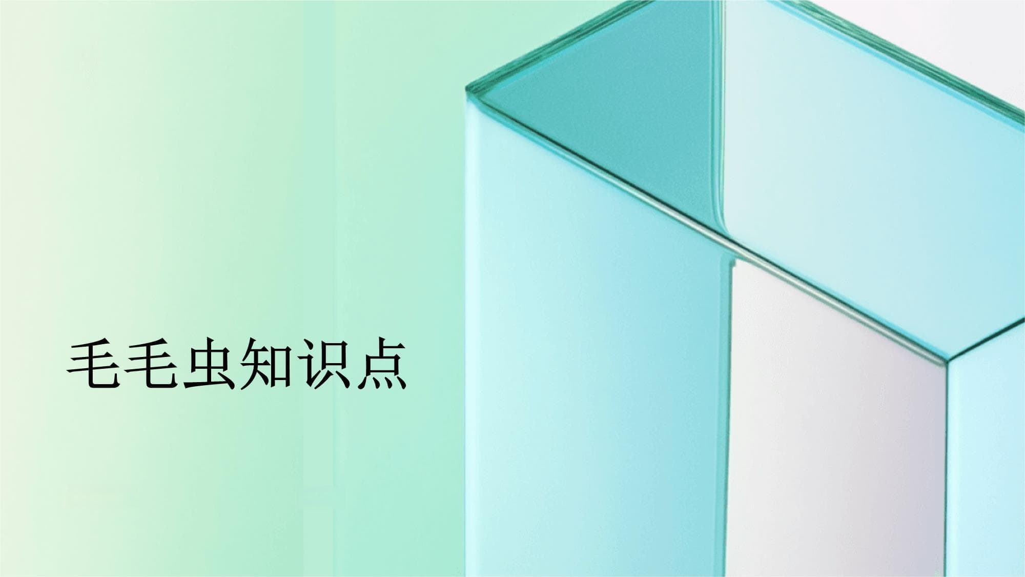 毛毛虫知识点
