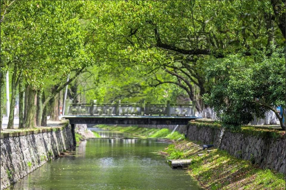 沿海中线：解锁宁波滨海生态的奇妙之旅
