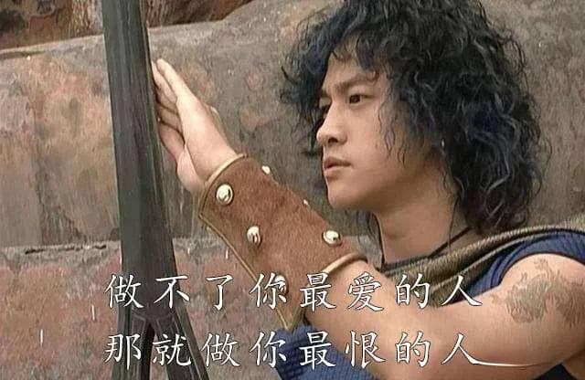 离开几个月猫还记得我吗？揭秘猫咪的记忆力与认人机制