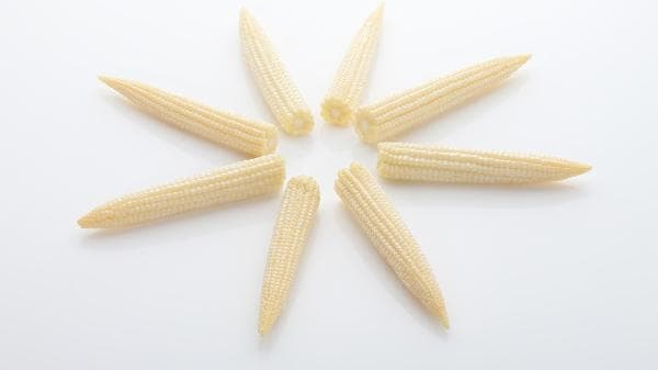 吃哪些食物可以减肥又不失营养