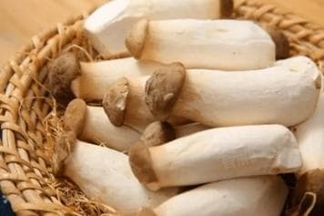 杏鲍菇不能和10种食物一起吃？