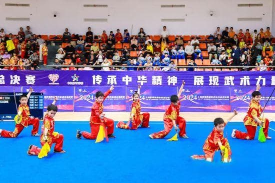弘扬中华武术精神彰显市民风采 上海市第四届市民运动会武术项目总决赛收官