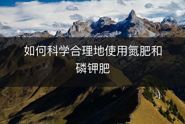 如何科学合理地使用氮肥和磷钾肥