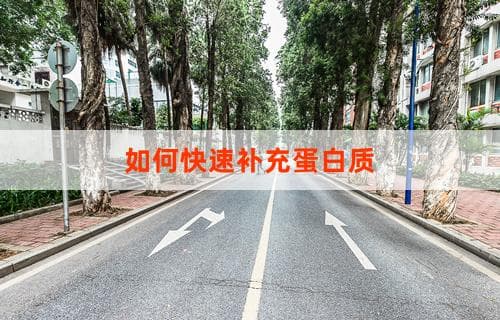 如何快速补充蛋白质？膳食搭配与营养补充策略