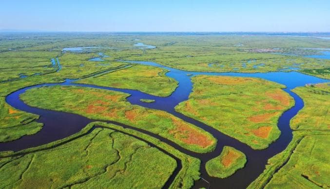 生物多样性优秀案例 | 辽宁盘锦市强化湿地保护 共建人与自然和谐美丽家园