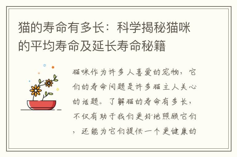 猫咪的平均寿命有多长？这些因素会影响猫咪的寿命