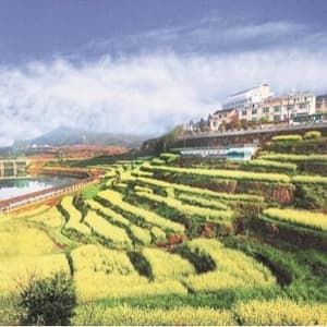 金华深入实施湿地水生态修复工程，“水下森林”治出湖光悦色