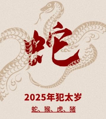 2025乙巳蛇年家居风水布局攻略：九宫飞星图详解与化解方法