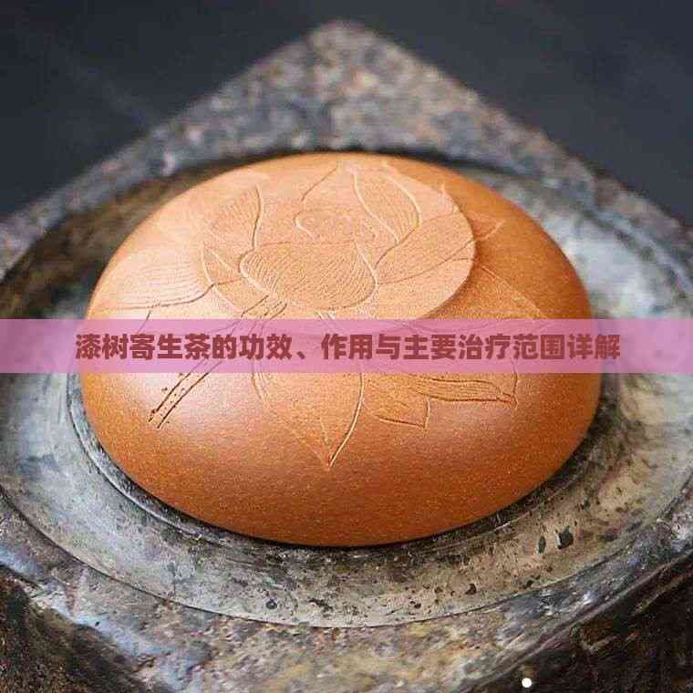 漆树寄生茶：一种源自自然的养生饮品
