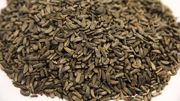 牛蒡茶十大功效：从清热解毒到保护肝脏