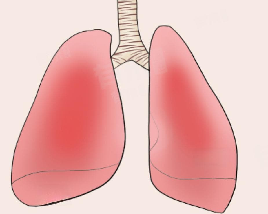 RESP在医学领域是什么意思？