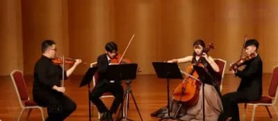 弦乐器演奏指南：从入门到精通的全方位指导