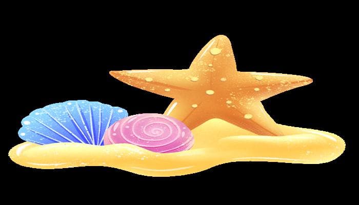 海星的养殖方法和注意事项
