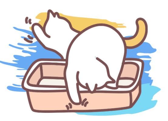 猫咪尿闭的快速治疗方法：关键时刻能救猫一命！