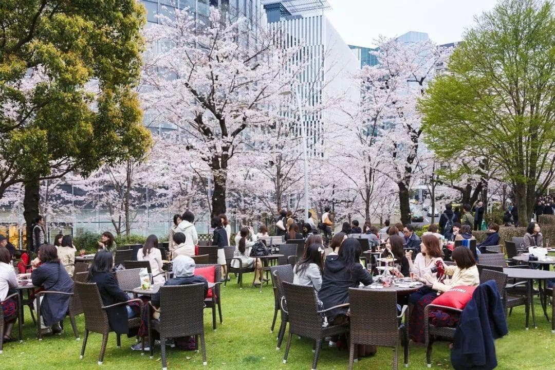 日本社会的妾文化