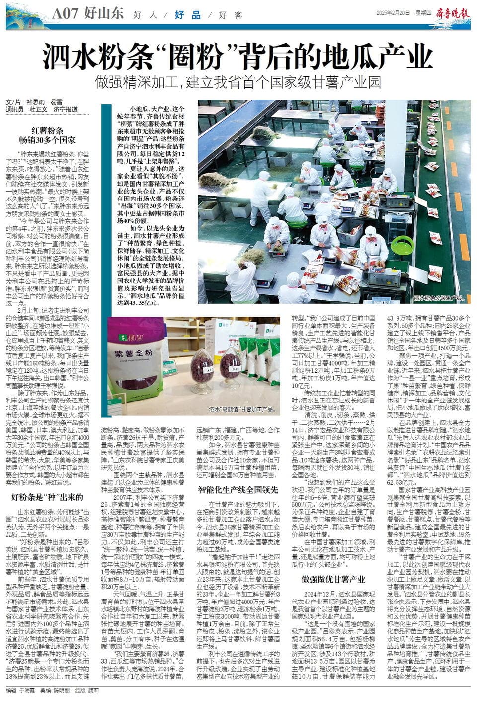做强精深加工，泗水粉条“圈粉”背后的地瓜产业