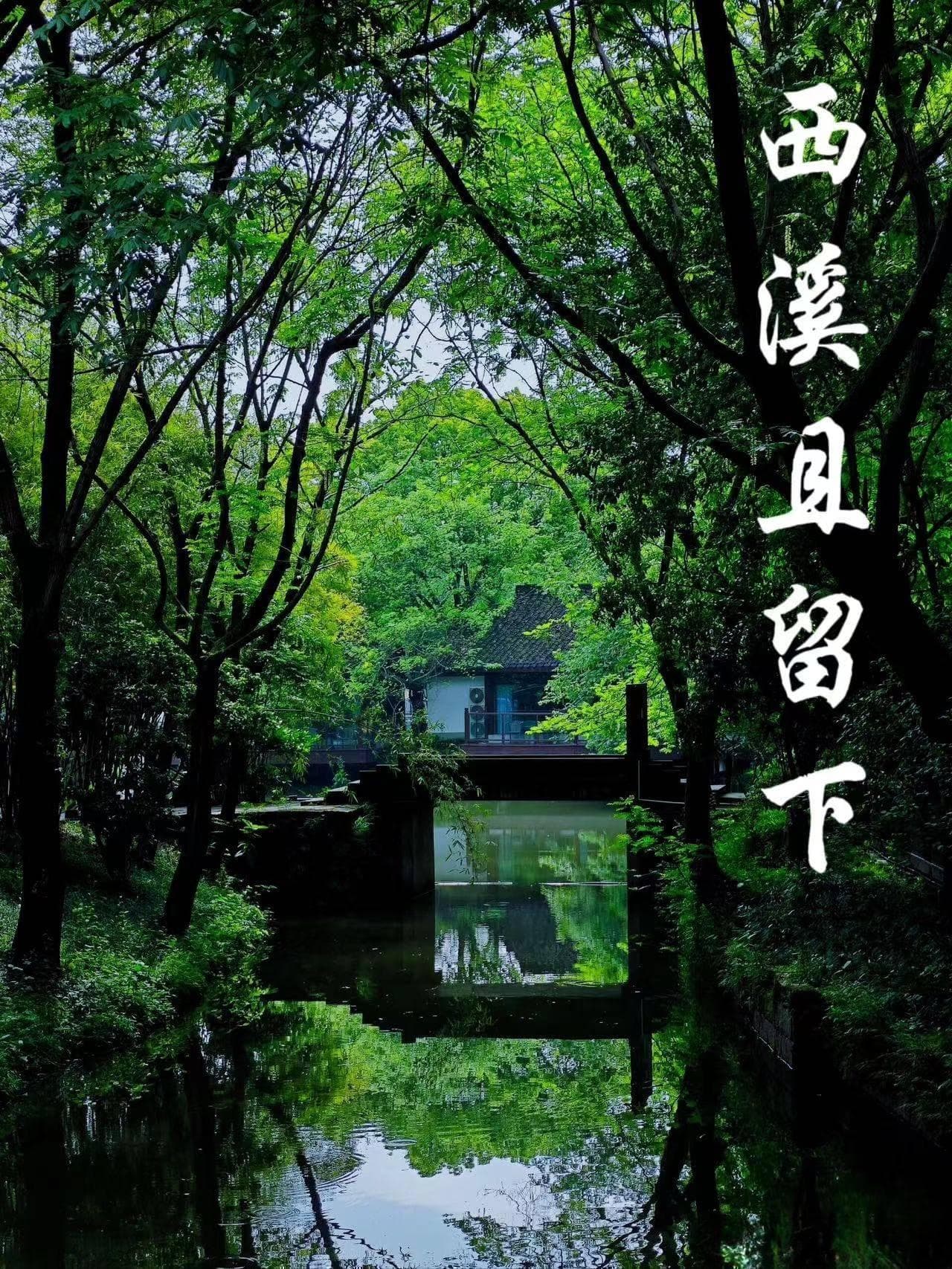 杭州西溪湿地攻略：三大景点之一，吃喝玩乐全攻略