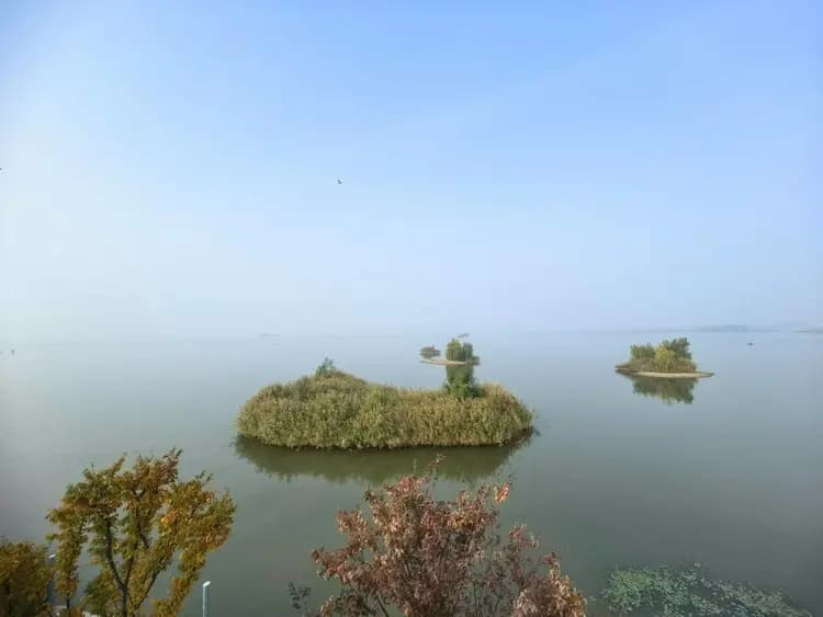 786种野生动物，679种植物资源，东平湖生态保护显成效
