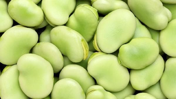 蚕豆皮可以吃吗？营养价值与食用方法全解析