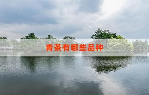 青茶有哪些品种？品种介绍与特点