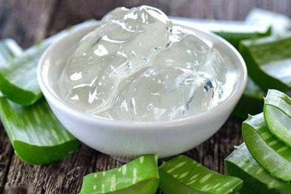 简单自制芦荟胶方法 怎样自制芦荟胶