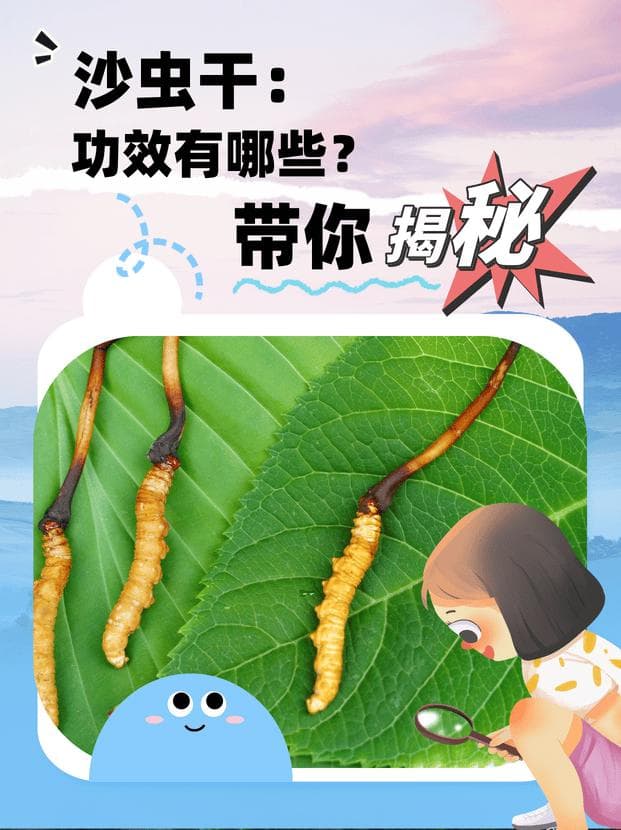 沙虫干：三类人食用更养生，两类人需谨慎