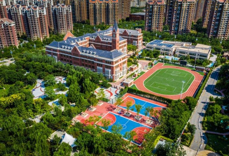 天津滨海新区择校指南：四大区域教育资源全解析