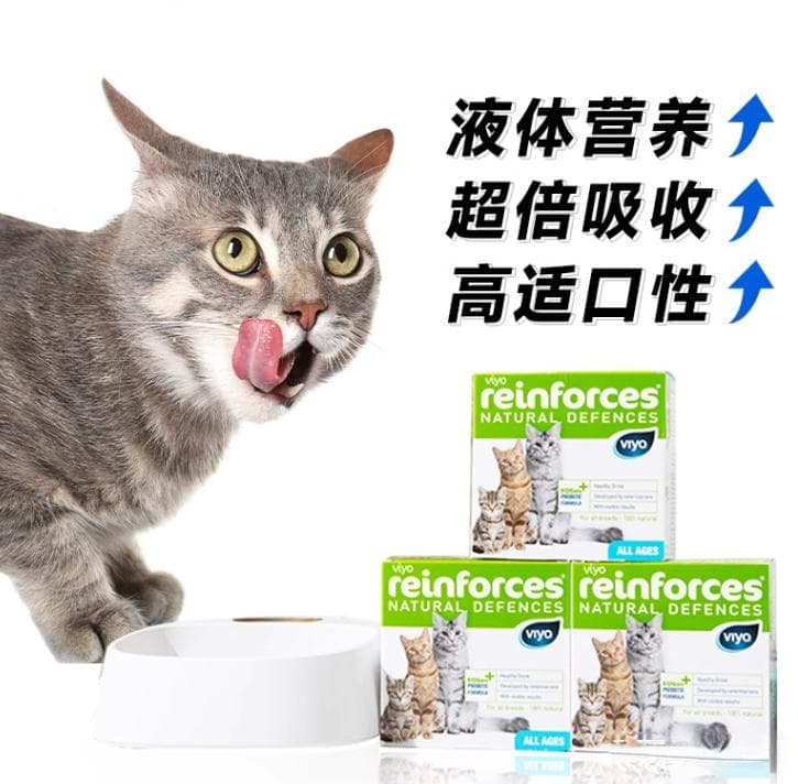 猫咪营养均衡的重要性