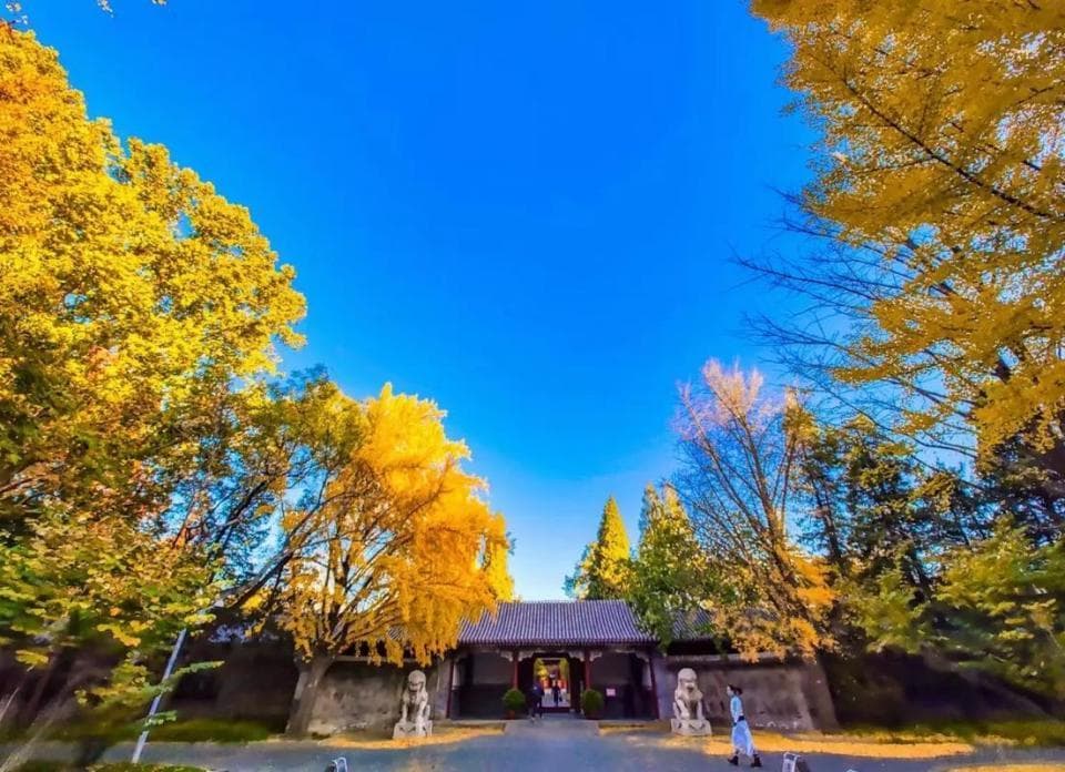 聚焦清华大学五大特色班，拔尖人才的摇篮，清华亮丽的名片