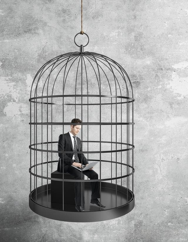 算法牢笼：当AI成为信息茧房的推手，人类如何突围？