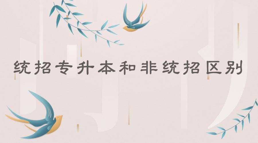 统招专升本 vs 非统招专升本：专科生的升学选择指南