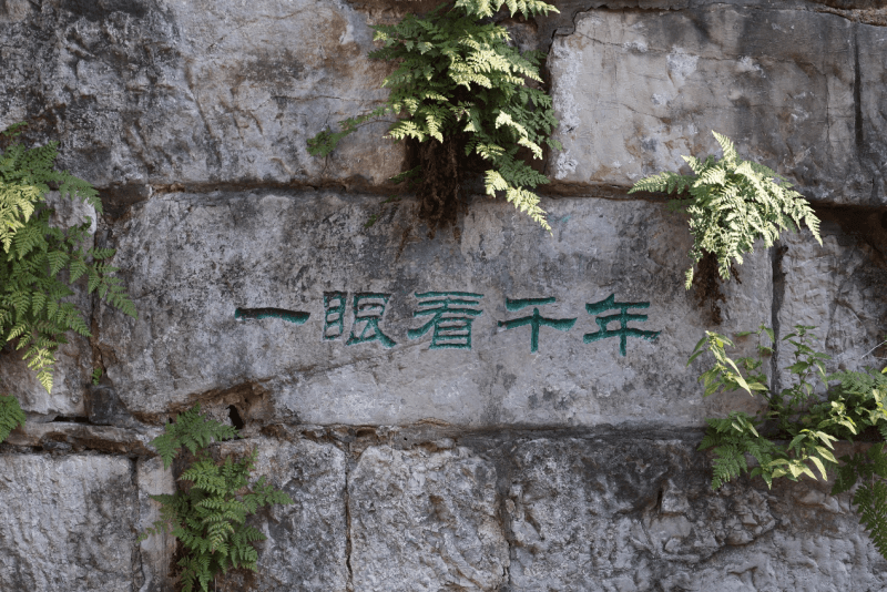 江苏镇江 | 古韵今风西津渡 城市文脉显活力