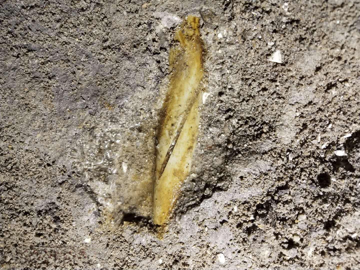 管道漏水检测费用全解析：影响价格的关键因素