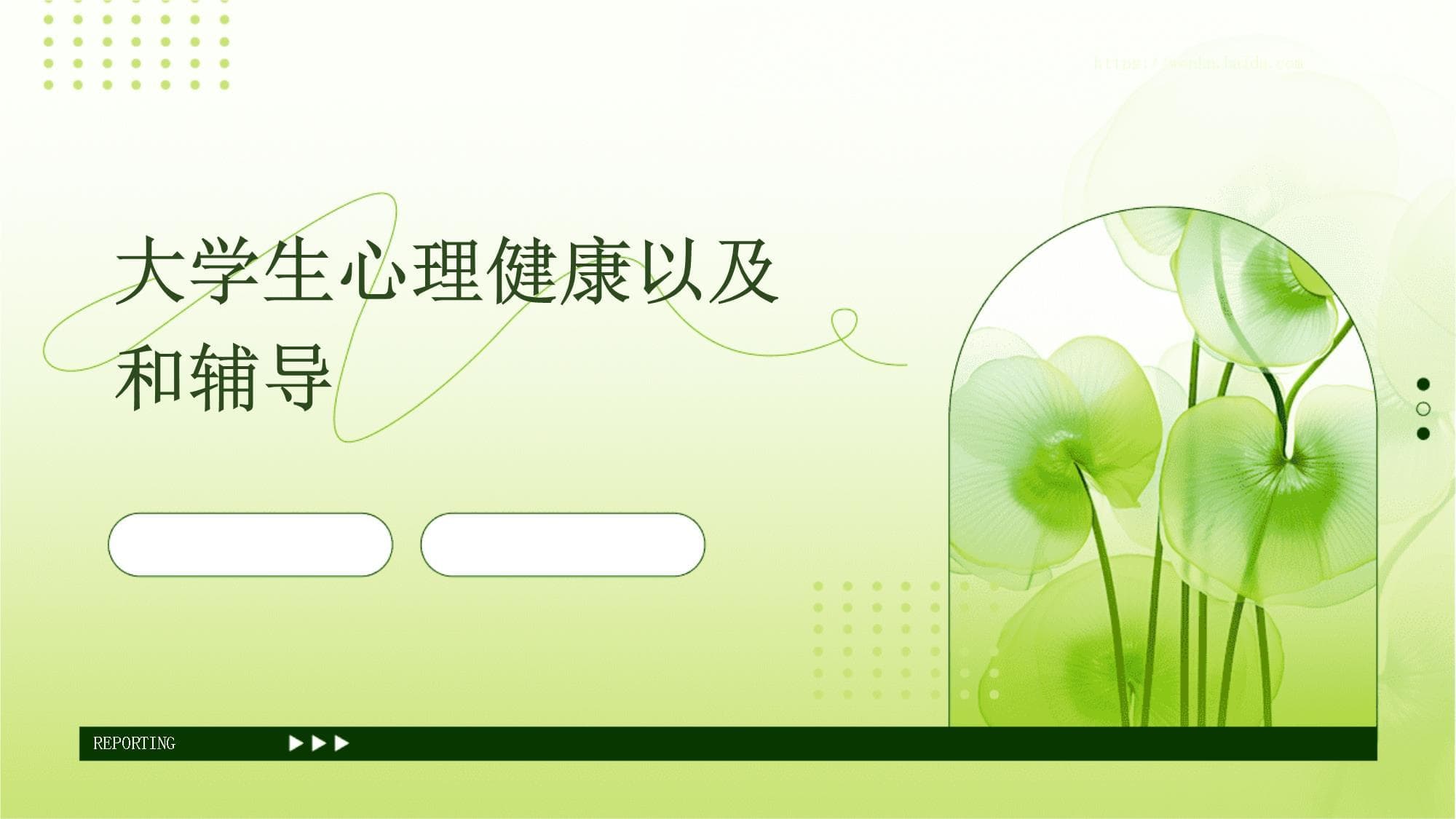 大学生心理健康问题及辅导方法