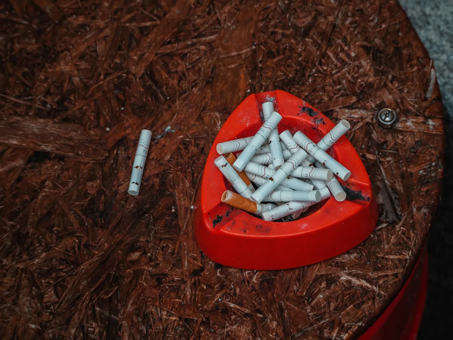 世卫组织警告：吸烟是心血管疾病第二大病因，戒烟可迅速降低心脏病风险