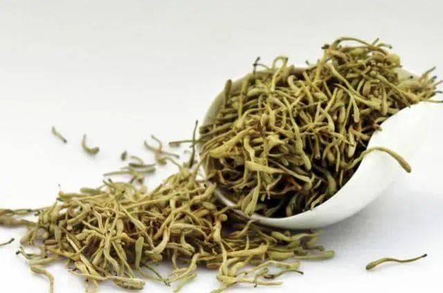 金银花的功效与搭配：清热解毒，养生保健