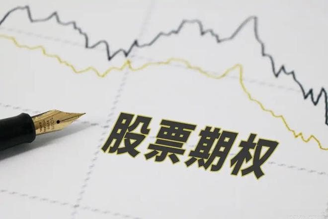 股票期权是什么意思？一文带你全面了解