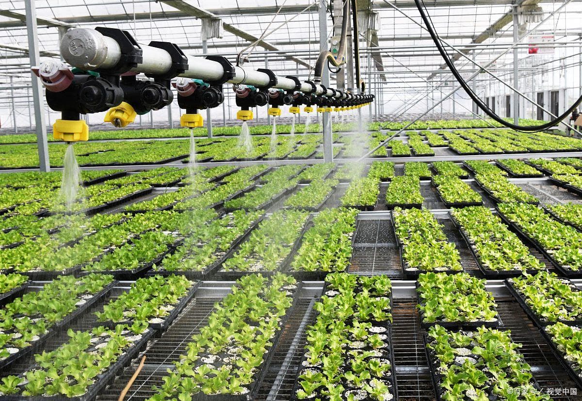 智慧温室：自动控制系统的革新实践——解锁精准农业新纪元